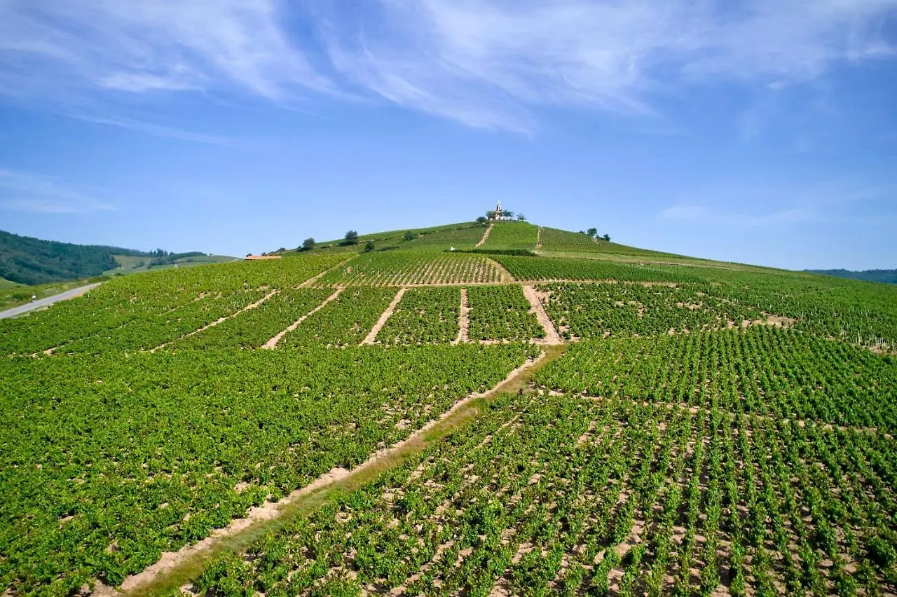 Domaine Gilles Coperet- Artisan-Vigneron- Chambres D'Hotes Les Glycines - Régnié Frankrijk