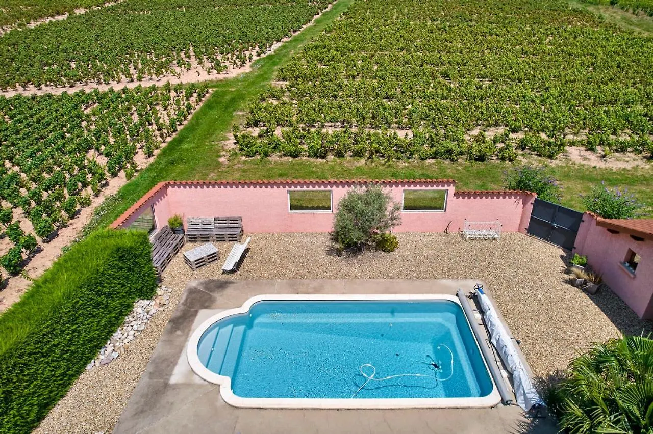 Domaine Gilles Coperet- Artisan-Vigneron- Chambres D'Hotes Les Glycines - Régnié 0*,  Frankrijk