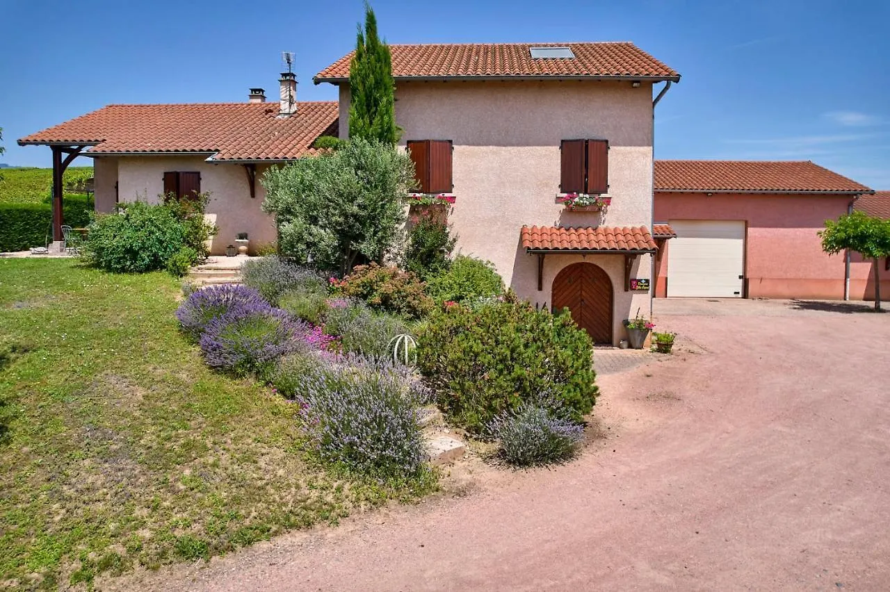 Domaine Gilles Coperet- Artisan-Vigneron- Chambres D'Hotes Les Glycines - Régnié Bed & Breakfast