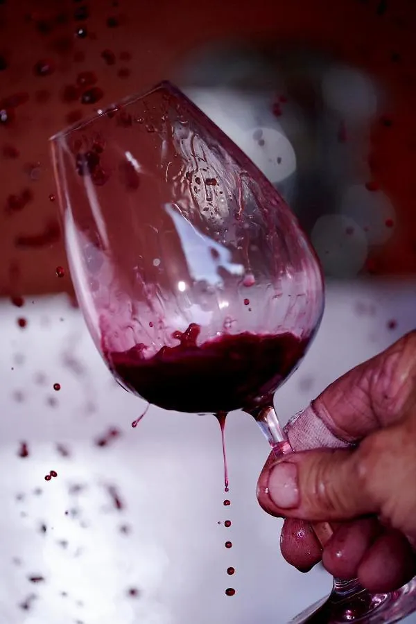 Domaine Gilles Coperet- Artisan-Vigneron- Chambres D'Hotes Les Glycines - Régnié Frankrijk