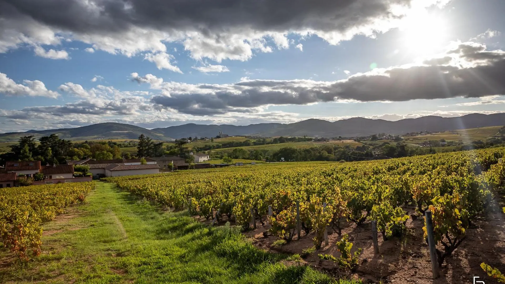 Les Glycines - Domaine Gilles Coperet Bed & Breakfast Regnie France