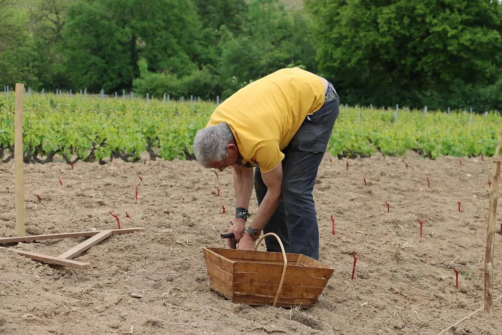 Les Glycines - Domaine Gilles Coperet Bed & Breakfast Regnie