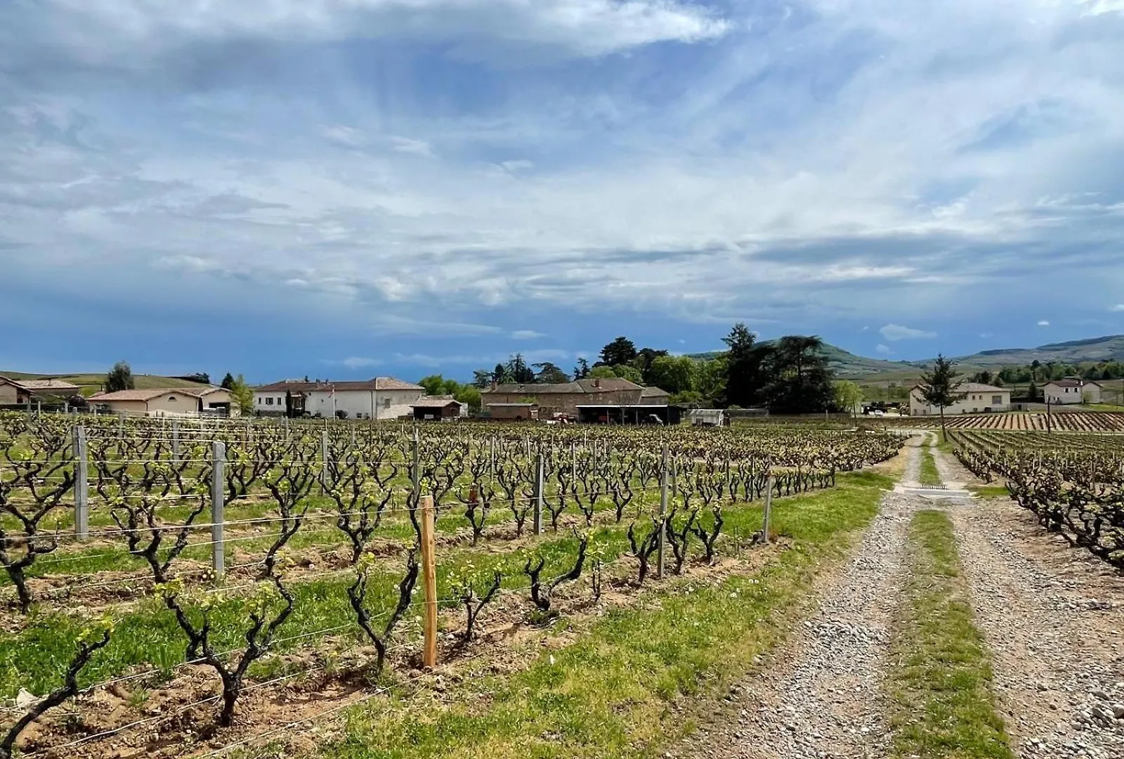 Domaine Gilles Coperet- Artisan-Vigneron- Chambres D'Hotes Les Glycines - Régnié Bed & Breakfast