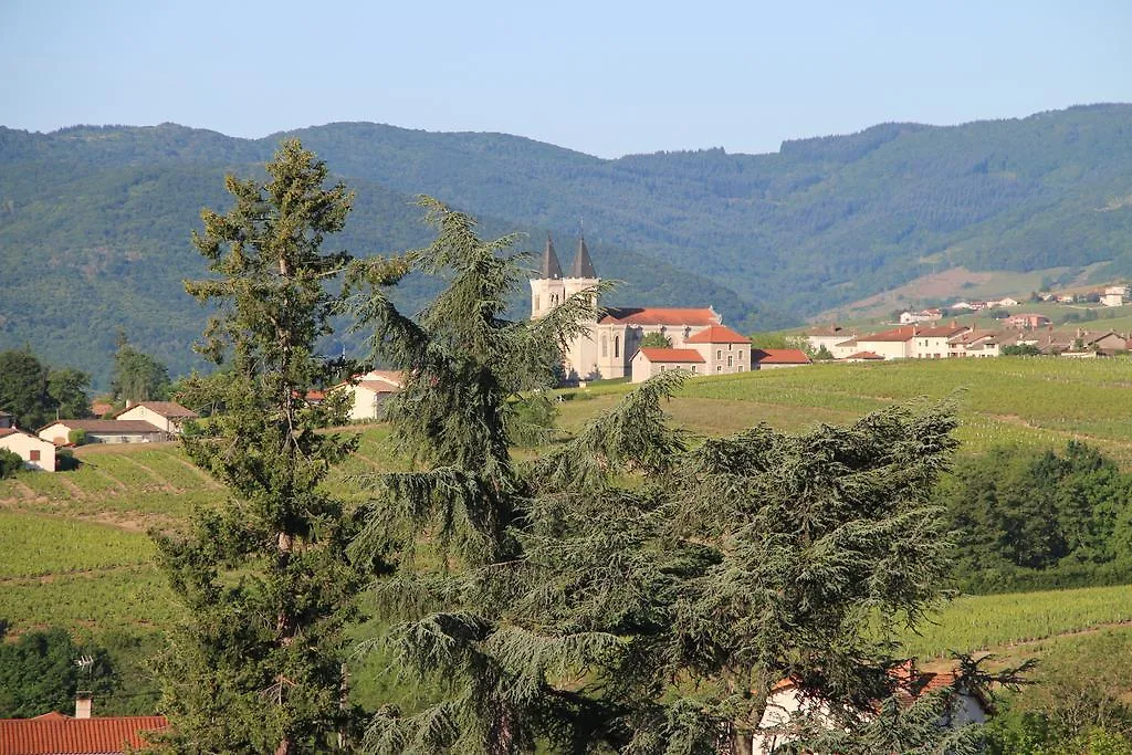 Régnié Les Glycines - Domaine Gilles Coperet B&B