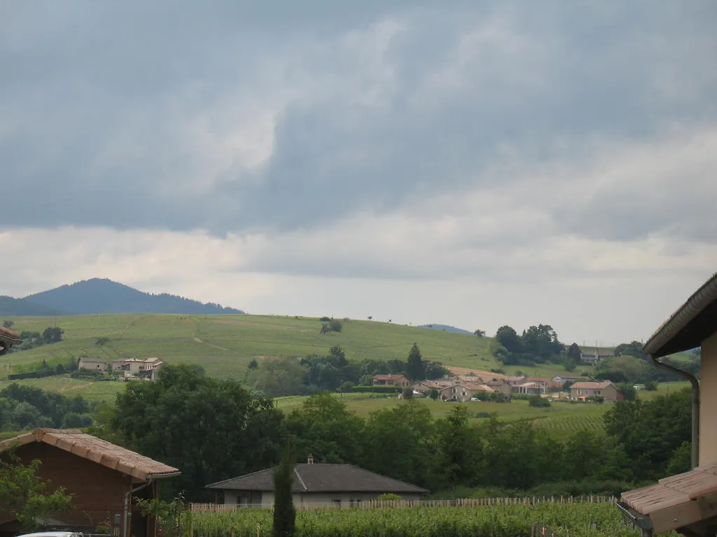 Régnié Les Glycines - Domaine Gilles Coperet B&B