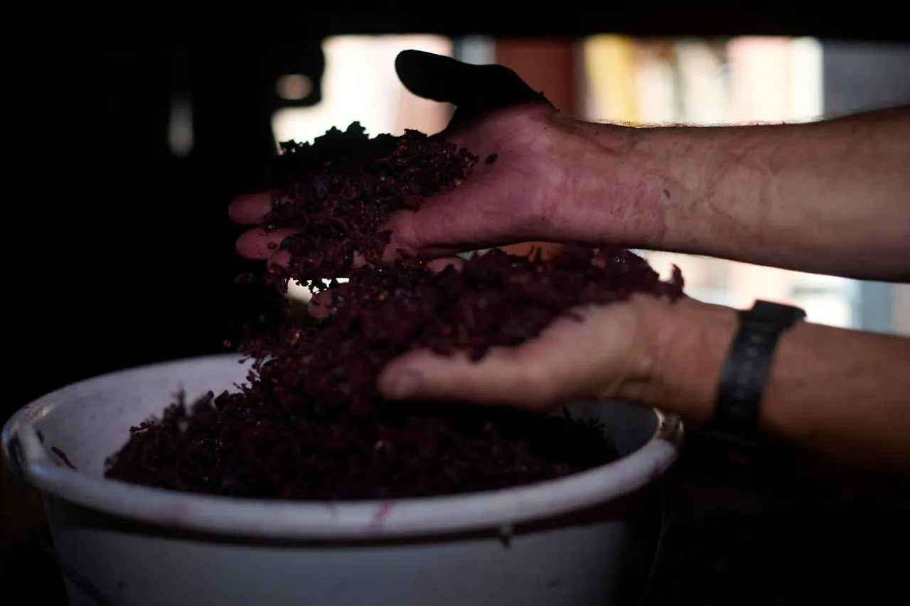 Bed & Breakfast Domaine Gilles Coperet- Artisan-Vigneron- Chambres D'Hotes Les Glycines - France