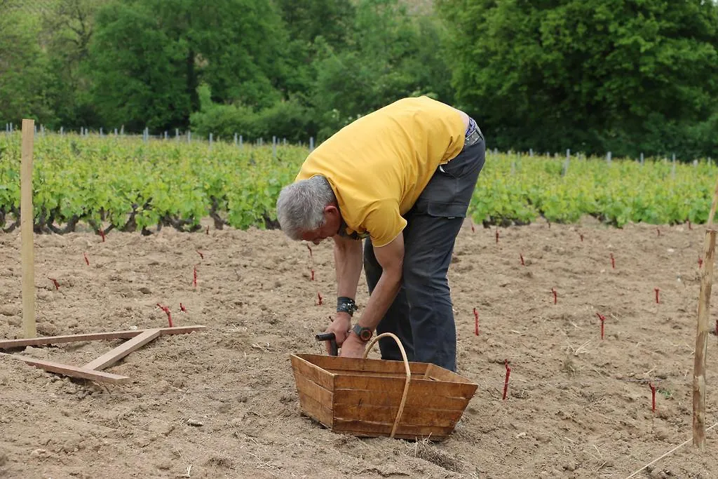Bed & Breakfast Domaine Gilles Coperet- Artisan-Vigneron- Chambres D'Hotes Les Glycines -