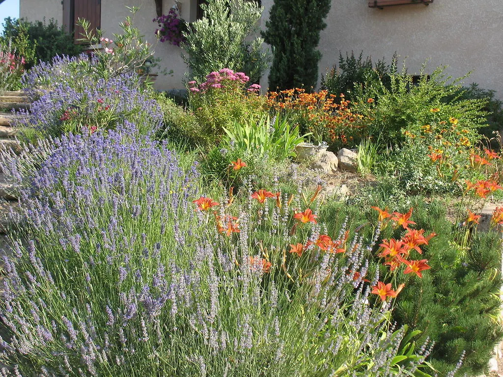 Bed & Breakfast Domaine Gilles Coperet- Artisan-Vigneron- Chambres D'Hotes Les Glycines -